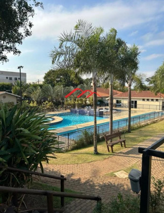 Imagem Apartamento com 2 Quartos à Venda, 50 m² em Jardim Santa Terezinha (nova Veneza) - Sumaré Imagem Apartamento com 2 Quartos à Venda, 50 m² em Jardim Santa Terezinha (nova Veneza) - Sumaré