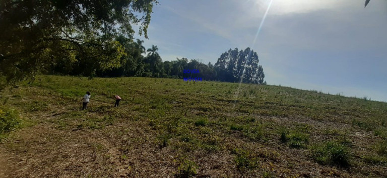 Imagem Imóvel com 1 Quarto à Venda, 20.000 m² em Rural - Mariental Imagem Imóvel com 1 Quarto à Venda, 20.000 m² em Rural - Mariental