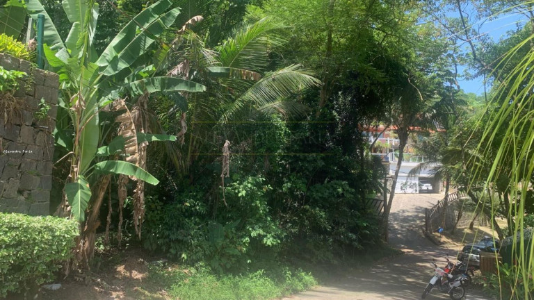 Imagem Terreno à Venda, 1.000 m² em Siriuba - Ilhabela