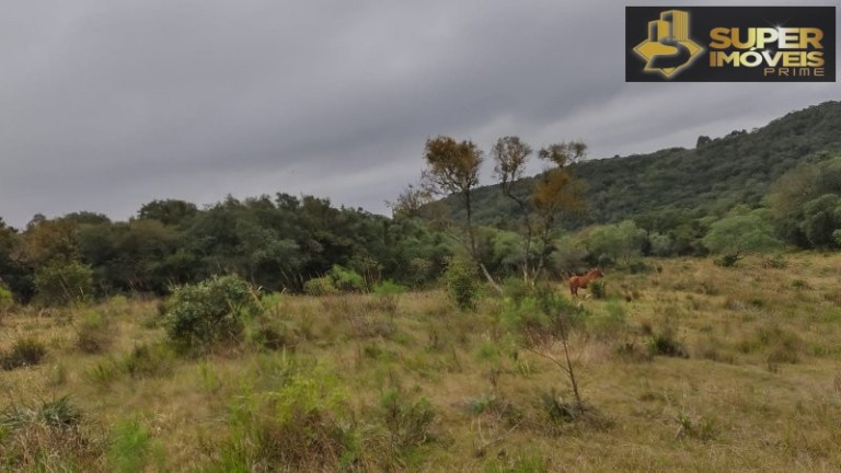 Imagem Imóvel com 4 Quartos à Venda, 2.600.000 m² em Centro - Canguçu