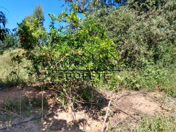 Imagem Imóvel com 1 Quarto à Venda, 21.696 m² em São Marcos - Bofete Imagem Imóvel com 1 Quarto à Venda, 21.696 m² em São Marcos - Bofete