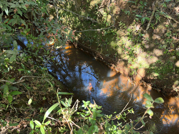 Imagem Terreno à Venda, 5.000 m² em Rio São João - Itatiaiuçu Imagem Terreno à Venda, 5.000 m² em Rio São João - Itatiaiuçu