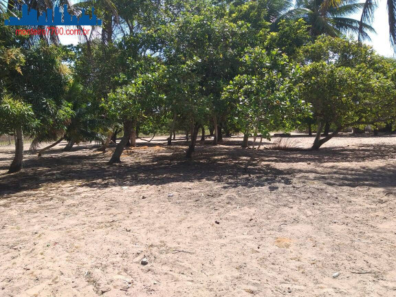 Imagem Terreno à Venda, 6.400 m² em Guajirú - São Gonçalo Do Amarante