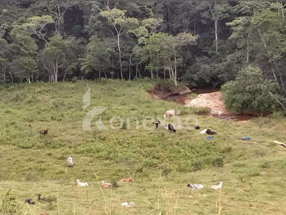 Imagem Chácara com 4 Quartos à Venda, 100 m² em Centro - Monteiro Lobato Imagem Chácara com 4 Quartos à Venda, 100 m² em Centro - Monteiro Lobato