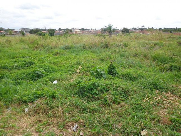 Imagem Terreno à Venda, 4 m²em Abrantes - Camaçari