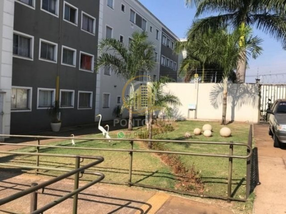 Imagem Apartamento com 2 Quartos à Venda, 47 m² em Residencial Ana Célia - São José Do Rio Preto Imagem Apartamento com 2 Quartos à Venda, 47 m² em Residencial Ana Célia - São José Do Rio Preto