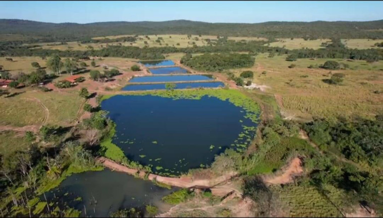 Imagem Fazenda à Venda, 2.114 m² em Jangada Imagem Fazenda à Venda, 2.114 m² em Jangada