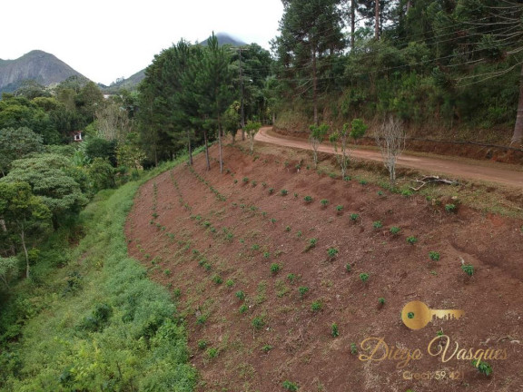 Imagem Chácara com 3 Quartos à Venda, 500 m² em Santa Rosa - Teresópolis Imagem Chácara com 3 Quartos à Venda, 500 m² em Santa Rosa - Teresópolis