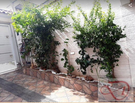 Imagem Sobrado com 2 Quartos à Venda, 121 m² em Vila Clarice - Santo André