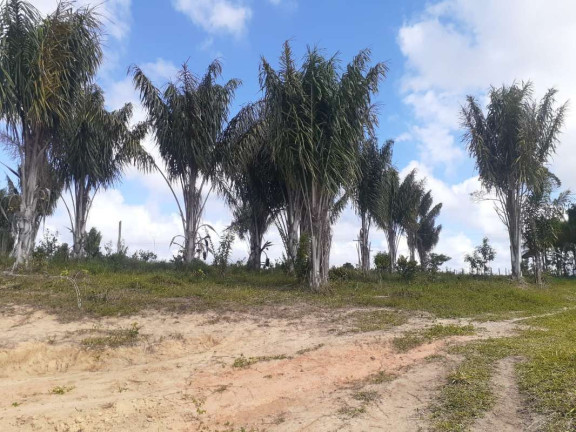Imagem Imóvel com 1 Quarto à Venda, 774.400 m² em Mogiquiçaba - Belmonte Imagem Imóvel com 1 Quarto à Venda, 774.400 m² em Mogiquiçaba - Belmonte