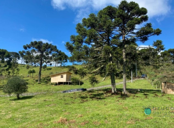 Imagem Imóvel com 1 Quarto à Venda, 20.000 m² em Zona Rural - Urubici Imagem Imóvel com 1 Quarto à Venda, 20.000 m² em Zona Rural - Urubici