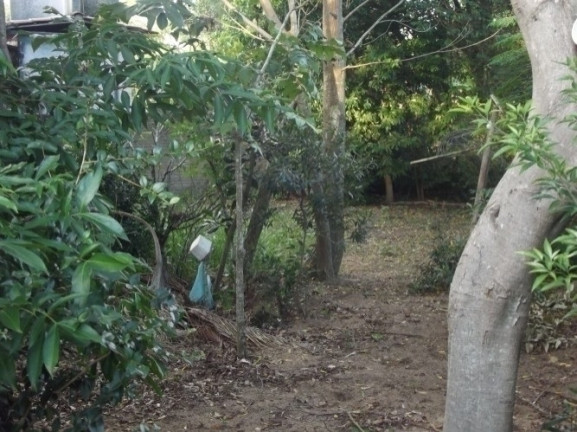 Imagem Casa com 4 Quartos à Venda, 2.000 m² em águas Claras - Viamão Imagem Casa com 4 Quartos à Venda, 2.000 m² em águas Claras - Viamão