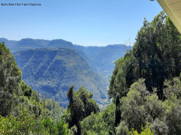Imagem Imóvel com 2 Quartos à Venda, 220 m² em Linha Brasil Fundos - Nova Petrópolis