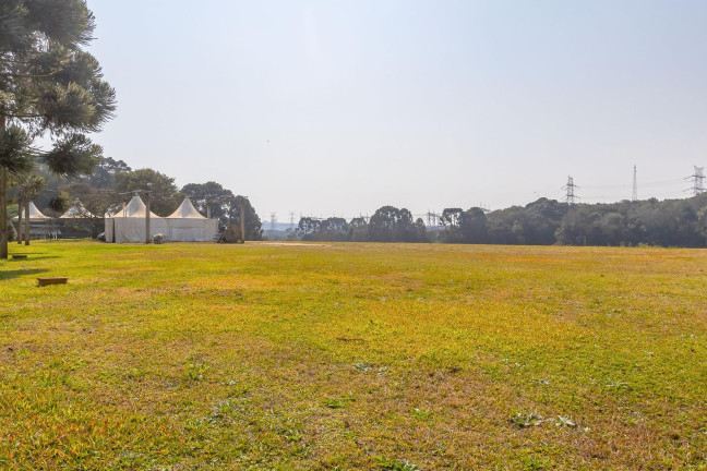 Imagem Imóvel com 4 Quartos à Venda, 37.906 m² em Ouro Verde - Campo Largo Imagem Imóvel com 4 Quartos à Venda, 37.906 m² em Ouro Verde - Campo Largo