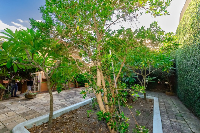 Imagem Casa com 4 Quartos à Venda, 332 m² em Petrópolis - Porto Alegre Imagem Casa com 4 Quartos à Venda, 332 m² em Petrópolis - Porto Alegre