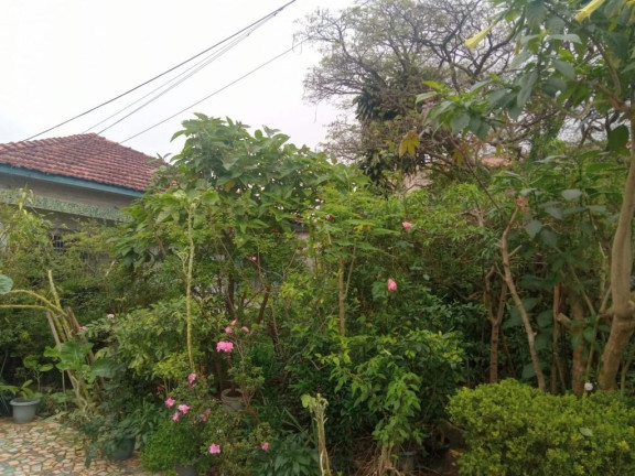 Imagem Terreno à Venda, 1.060 m² em Vila Amorim - Suzano Imagem Terreno à Venda, 1.060 m² em Vila Amorim - Suzano