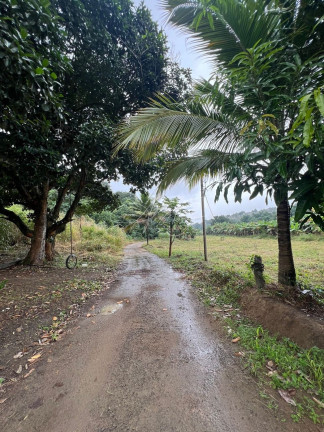 Imagem Terreno à Venda, 75.000 m² em Nova Campo Grande - Cariacica