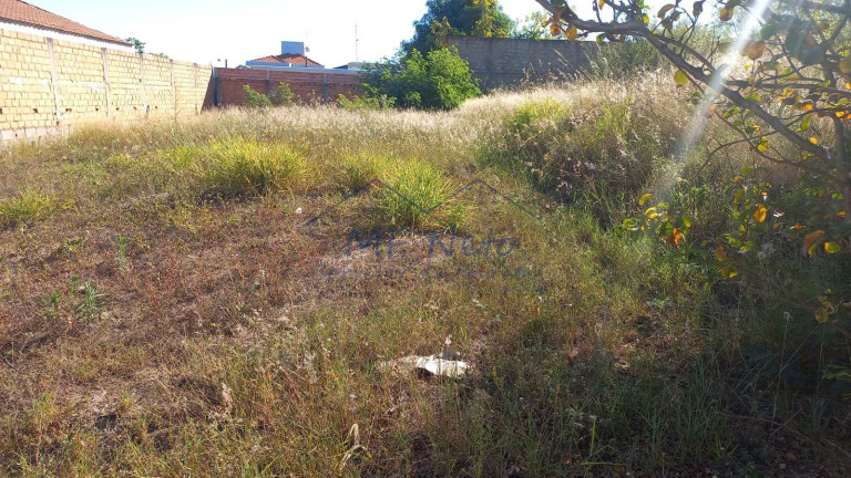 Imagem Terreno à Venda, 250 m² em Jardim Treviso - Pirassununga Imagem Terreno à Venda, 250 m² em Jardim Treviso - Pirassununga