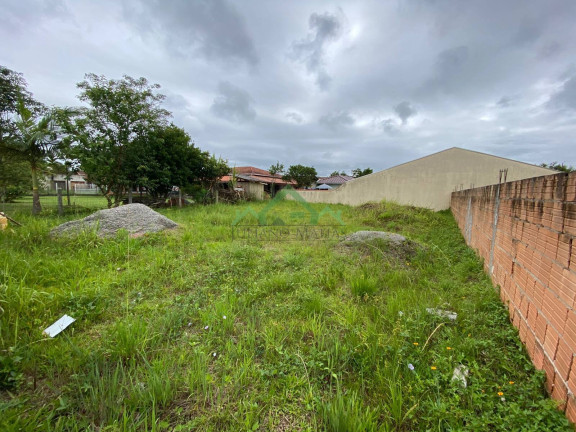 Imagem Terreno à Venda, 221 m² em Pinheiros - Balneário Barra Do Sul Imagem Terreno à Venda, 221 m² em Pinheiros - Balneário Barra Do Sul
