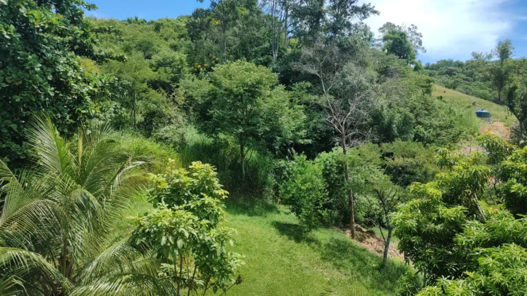 Imagem Apartamento com 3 Quartos à Venda, 53 m² em Campo Grande - Rio De Janeiro Imagem Apartamento com 3 Quartos à Venda, 53 m² em Campo Grande - Rio De Janeiro