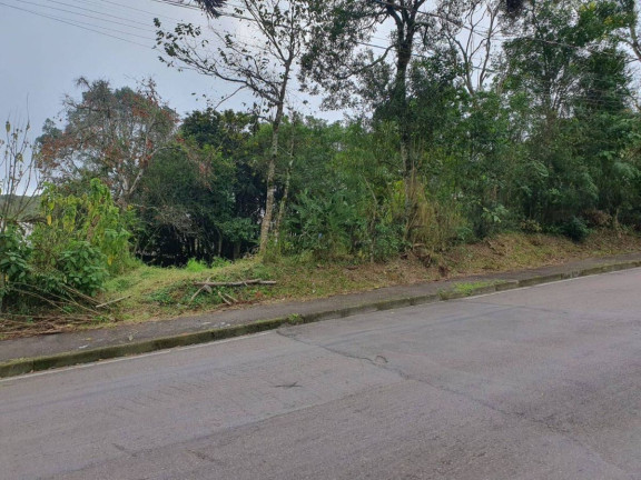 Imagem Terreno à Venda, em Vila Rosa - Piraquara Imagem Terreno à Venda, em Vila Rosa - Piraquara