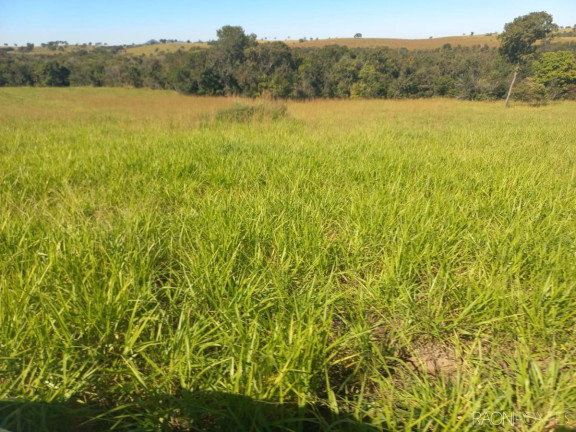 Imagem Fazenda à Venda, 10.000.000 m² em Zona Rural - Camapuã Imagem Fazenda à Venda, 10.000.000 m² em Zona Rural - Camapuã