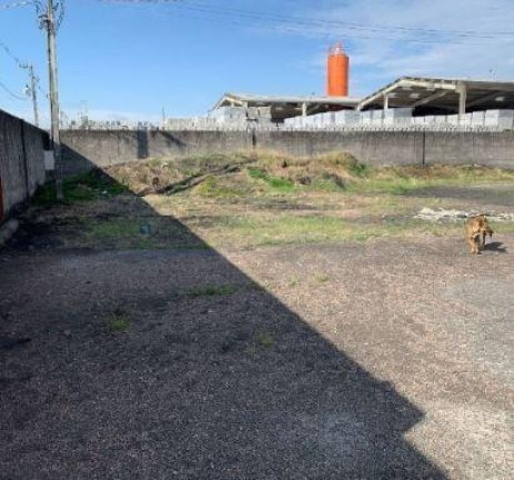 Imagem Imóvel Comercial à Venda, 2.400 m² em Ipê - Sao Jose Dos Pinhais Imagem Imóvel Comercial à Venda, 2.400 m² em Ipê - Sao Jose Dos Pinhais