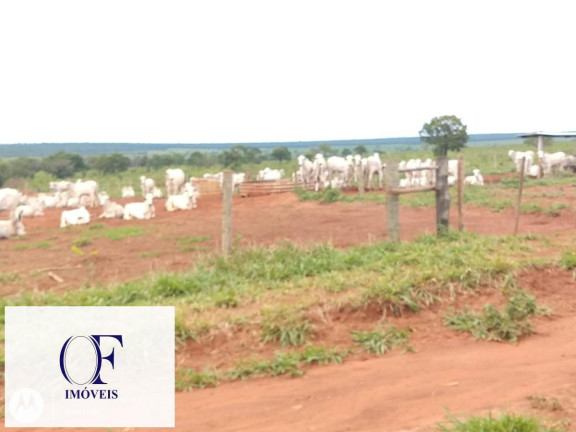 Imagem Fazenda à Venda, 3.097 m² em Rural - Chapadão Do Sul