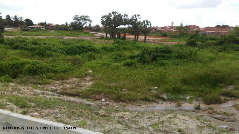 Imagem Terreno à Venda, 150 m² em Jardim - Paracuru Imagem Terreno à Venda, 150 m² em Jardim - Paracuru