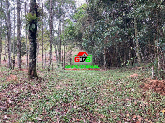 Imagem Chácara à Venda, 13 m² em São Francisco Xavier - São José Dos Campos Imagem Chácara à Venda, 13 m² em São Francisco Xavier - São José Dos Campos