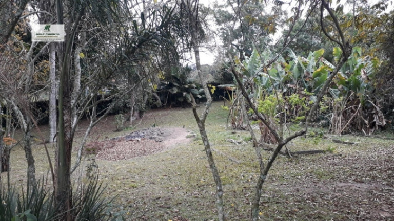 Imagem Chácara com 2 Quartos à Venda, 6.000 m² em Alto Da Serra - São Roque Imagem Chácara com 2 Quartos à Venda, 6.000 m² em Alto Da Serra - São Roque