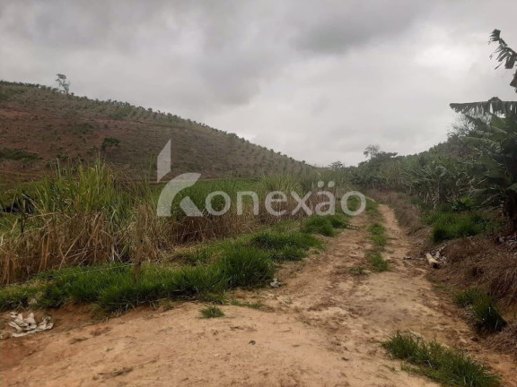 Imagem Fazenda à Venda, 90 m² em Itapeva - Paraibuna Imagem Fazenda à Venda, 90 m² em Itapeva - Paraibuna