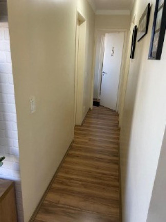 Imagem Apartamento com 3 Quartos à Venda, 63 m² em Vila Moraes - São Paulo Imagem Apartamento com 3 Quartos à Venda, 63 m² em Vila Moraes - São Paulo