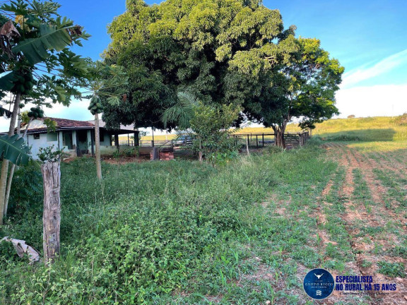 Imagem Chácara à Venda, 10 m² em Zona Rural - Goiás Imagem Chácara à Venda, 10 m² em Zona Rural - Goiás