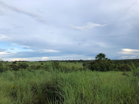 Imagem Fazenda à Venda,  em Rural - Figueirópolis