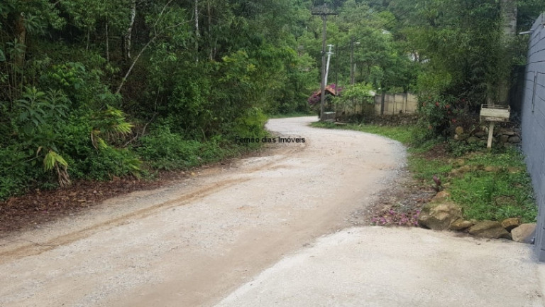 Imagem Chácara com 3 Quartos à Venda, 1.350 m² em Terra Preta (terra Preta) - Mairiporã Imagem Chácara com 3 Quartos à Venda, 1.350 m² em Terra Preta (terra Preta) - Mairiporã