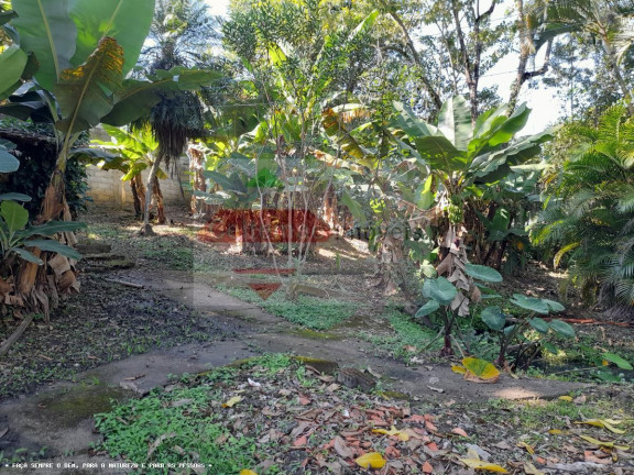 Imagem Chácara com 4 Quartos à Venda, 280 m² em Barreiro - Taubaté Imagem Chácara com 4 Quartos à Venda, 280 m² em Barreiro - Taubaté
