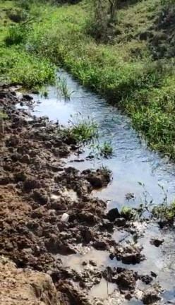 Imagem Fazenda à Venda, 530 m² em Centro - Cruzeiro Imagem Fazenda à Venda, 530 m² em Centro - Cruzeiro