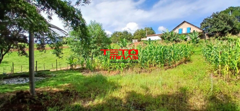 Imagem Imóvel com 3 Quartos à Venda, 80 m² em Zona Rural - Dom Viçoso