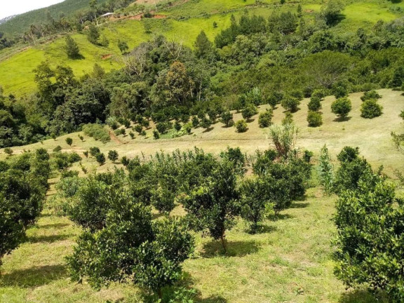 Imagem Imóvel com 2 Quartos à Venda, 51.700 m² em Centro - Cerro Azul Imagem Imóvel com 2 Quartos à Venda, 51.700 m² em Centro - Cerro Azul