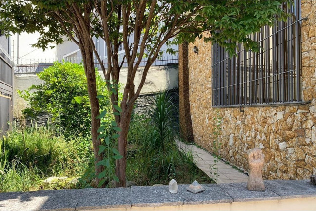 Imagem Casa com 5 Quartos à Venda,  em Vila Maria Alta - São Paulo