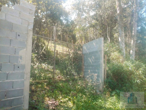 Imagem Chácara à Venda, 4.200 m²