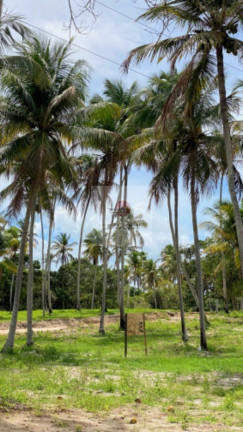 Imagem Terreno à Venda, 200 m² em Carneiros - Tamandaré