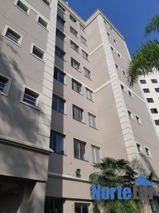 Imagem Apartamento com 3 Quartos à Venda, 70 m² em Paraíso Do Morumbi - São Paulo Imagem Apartamento com 3 Quartos à Venda, 70 m² em Paraíso Do Morumbi - São Paulo