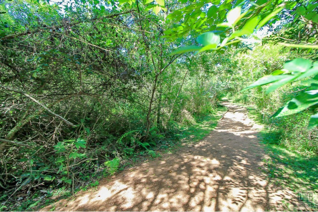 Imagem Terreno à Venda, em Aberta Dos Morros - Porto Alegre Imagem Terreno à Venda, em Aberta Dos Morros - Porto Alegre