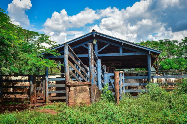 Imagem Fazenda à Venda, 2.000 m² em Zona Rural - Conquista Imagem Fazenda à Venda, 2.000 m² em Zona Rural - Conquista