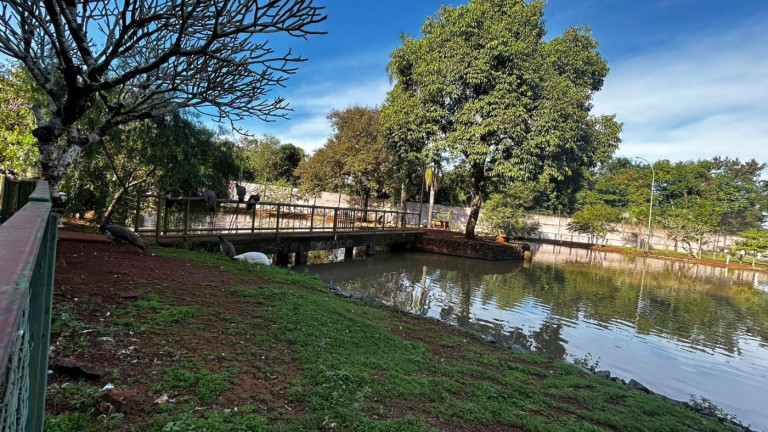 Imagem Terreno à Venda, 1.222 m² em Jardim Ana Cristina - Foz Do Iguaçu