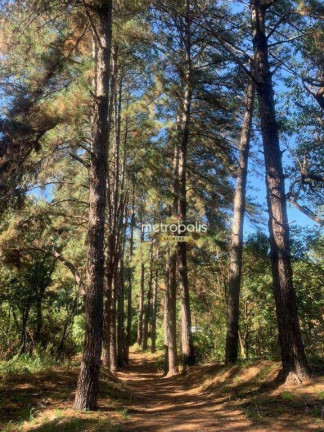 Imagem Fazenda à Venda, 800 m² em Brigadeiro Tobias - Sorocaba