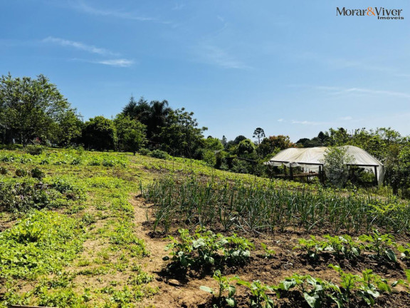 Imagem Chácara à Venda, 6.300 m² em Zona Rural - Tijucas Do Sul