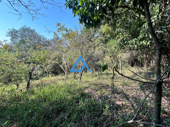 Imagem Imóvel com 3 Quartos à Venda, 3.000 m² em Laranjeiras - Caieiras Imagem Imóvel com 3 Quartos à Venda, 3.000 m² em Laranjeiras - Caieiras